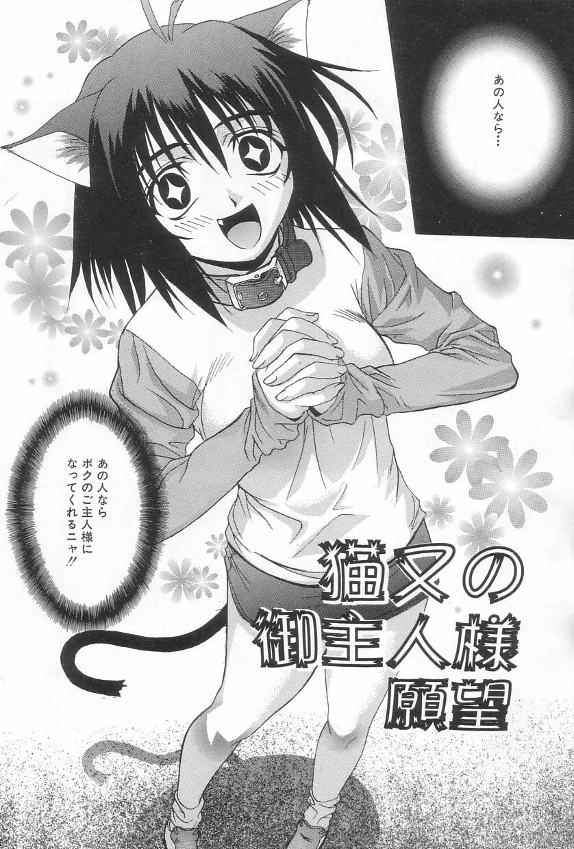【エロ漫画】【エロ漫画】発情時で逆レイプしちゃう淫乱猫耳娘…ご奉仕フェラをして理性崩壊で生ハメ中出しセックスしちゃう【三枝琥珀：猫又の御主人様願望】