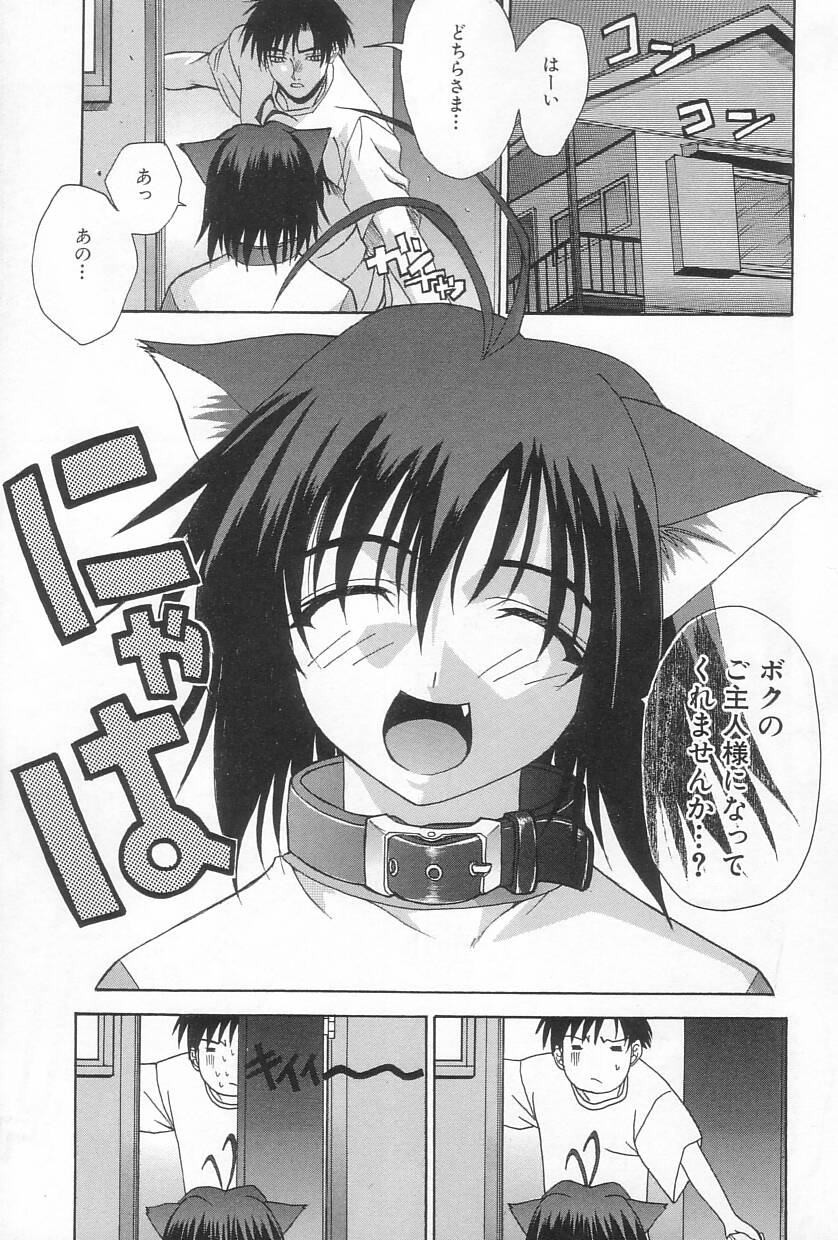 【エロ漫画】【エロ漫画】発情時で逆レイプしちゃう淫乱猫耳娘…ご奉仕フェラをして理性崩壊で生ハメ中出しセックスしちゃう【三枝琥珀：猫又の御主人様願望】