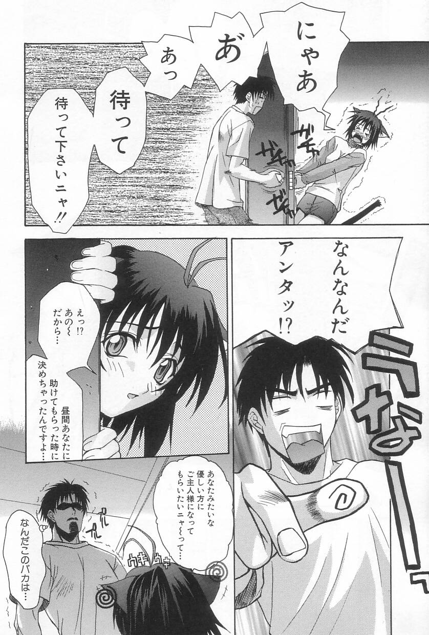 【エロ漫画】【エロ漫画】発情時で逆レイプしちゃう淫乱猫耳娘…ご奉仕フェラをして理性崩壊で生ハメ中出しセックスしちゃう【三枝琥珀：猫又の御主人様願望】