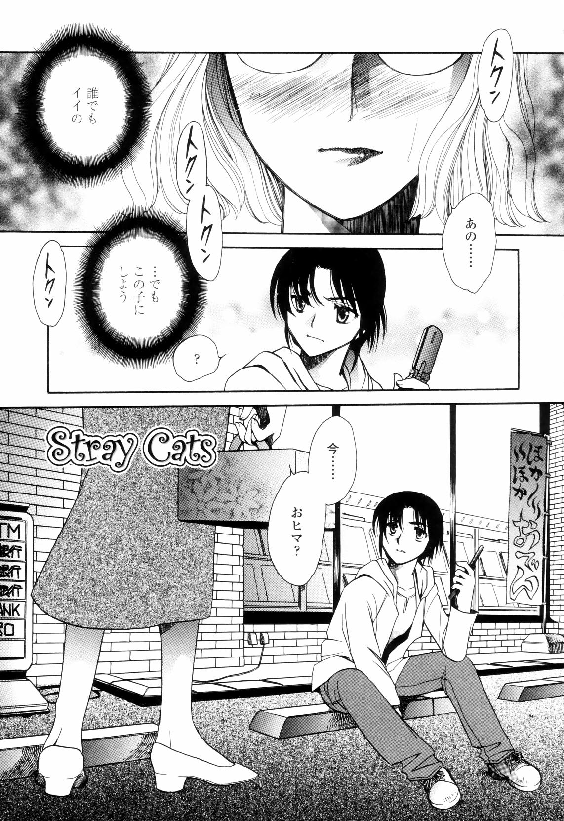 【エロ漫画】【エロ漫画】お誕生日でホールケーキを買ったけど一人きり、そんな状況に耐えられないお姉さんが勇気を出して逆ナンパ…キスをされおっぱい揉みで生ハメ中出しセックスまでされちゃう【夜天月：Stray Cats】